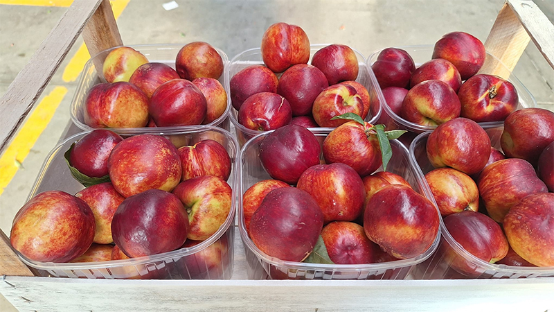 Nettarine locali, cal. B - 1,40-1,60 euro al chilo